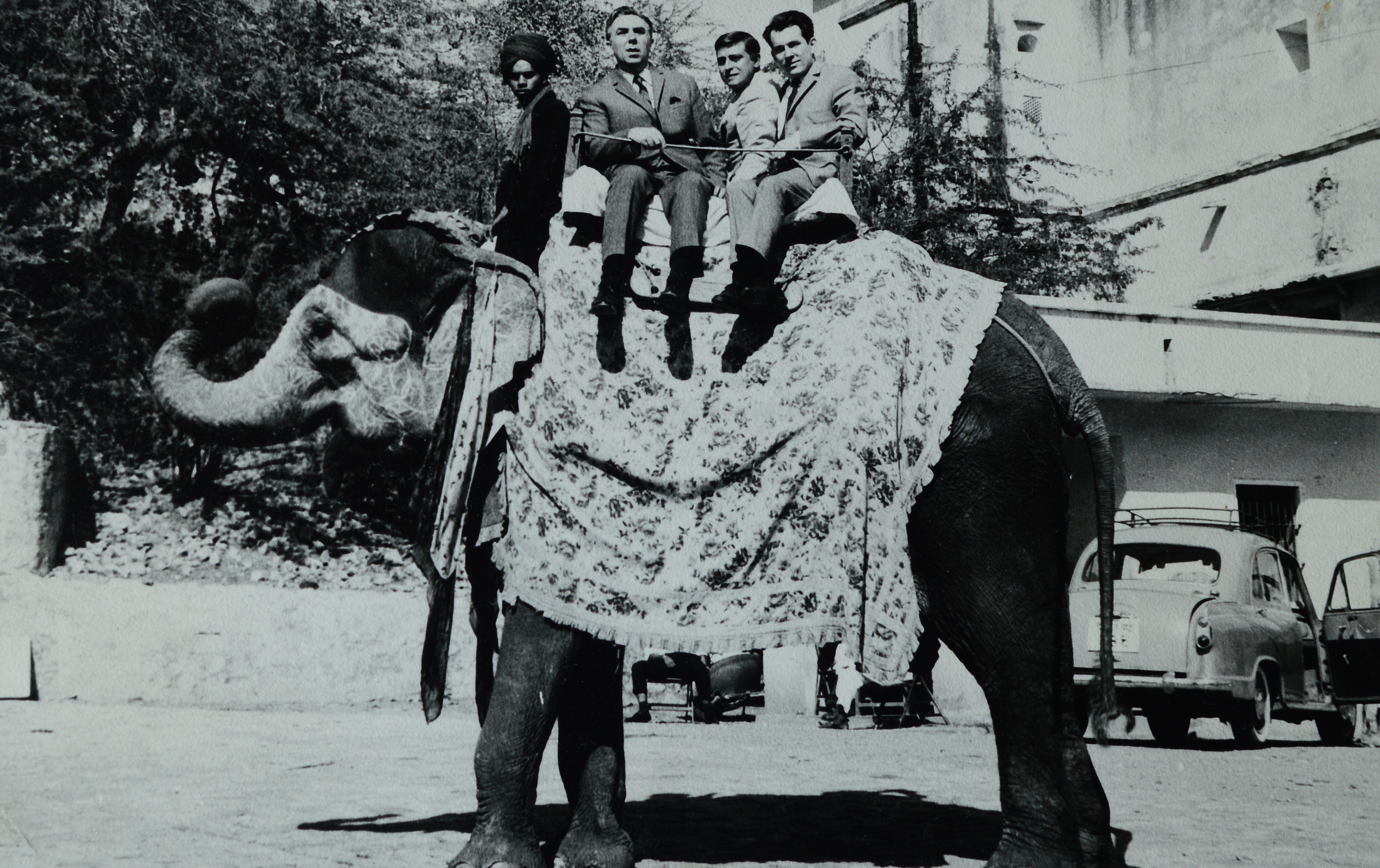 Elephant